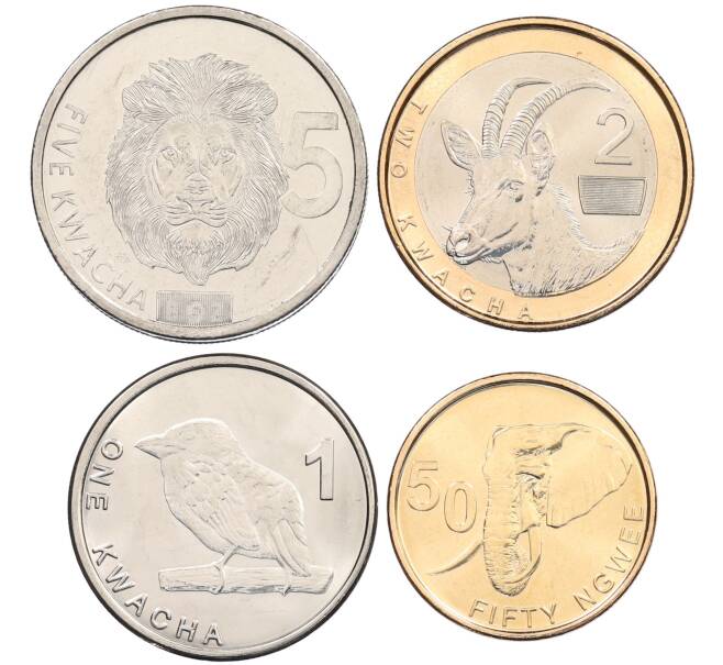 Набор из 4 монет 2024 года Замбия (Артикул: M3-1488) — Фото №1