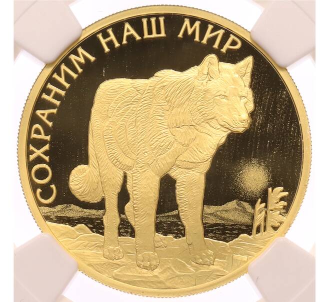 Монета 100 рублей 2020 года СПМД «Сохраним наш мир — Полярный волк» в слабе NGC (PF70 ULTRA CAMEO) (Артикул: K10-0505) — Фото №1