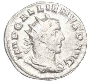 Антониниан 253-268 года Римская Империя — Галлиен — Фото №1