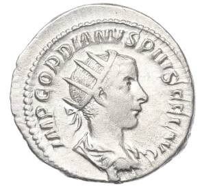 Антониниан 238-244 года Римская Империя — Гордиан III — Фото №1