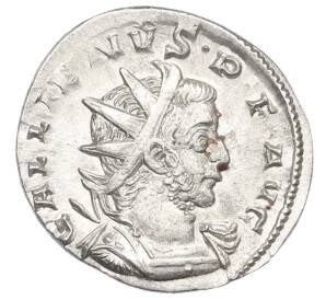 Антониниан 253-268 года Римская Империя — Галлиен — Фото №1