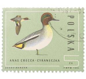 Почтовая марка 5 злотых 1985 года Польша «Евразийский чирок (Anas crecca)» — Фото №1