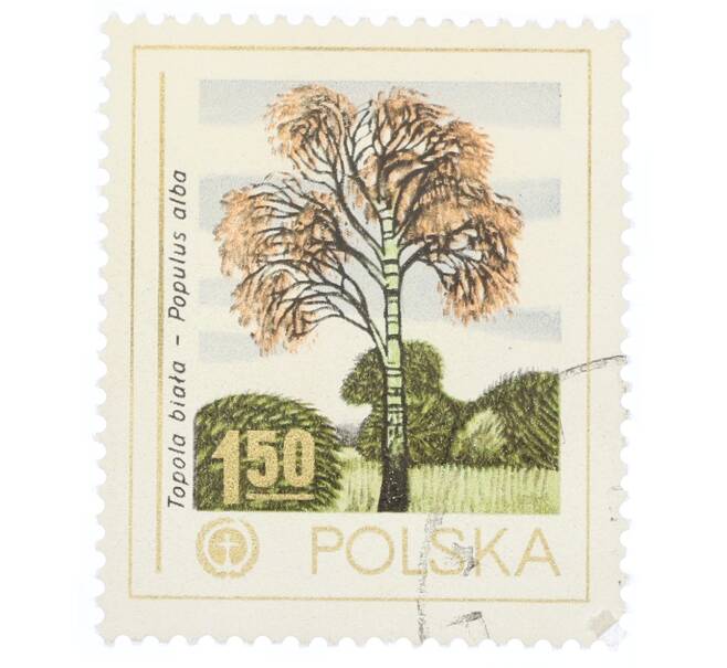 Почтовая марка 1.5 злотых 1978 года Польша «Белый тополь (Populus alba)» (Артикул: K12-70523) — Фото №1