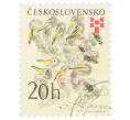 Почтовая марка 20 геллеров 1975 года Чехословакия «Никита Чарушин — Пеликан (Pelecanus sp.)» (Артикул: K12-70539) — Фото №1