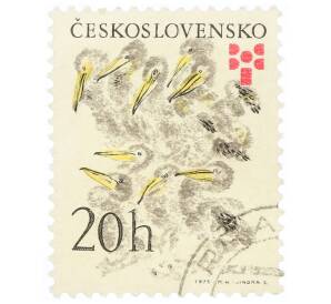Почтовая марка 20 геллеров 1975 года Чехословакия «Никита Чарушин — Пеликан (Pelecanus sp.)» — Фото №1
