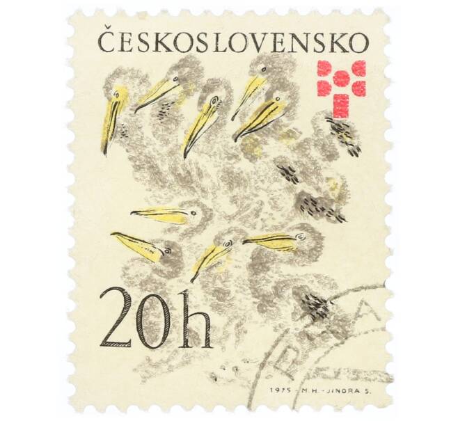 Почтовая марка 20 геллеров 1975 года Чехословакия «Никита Чарушин — Пеликан (Pelecanus sp.)» (Артикул: K12-70539) — Фото №1