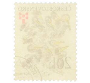 Почтовая марка 20 геллеров 1975 года Чехословакия «Никита Чарушин — Пеликан (Pelecanus sp.)» — Фото №2