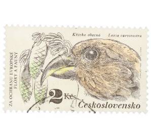 Почтовая марка 2 кроны 1983 года Чехословакия «Красная клестница (Loxia curvirostra) и еловая ветка» — Фото №1