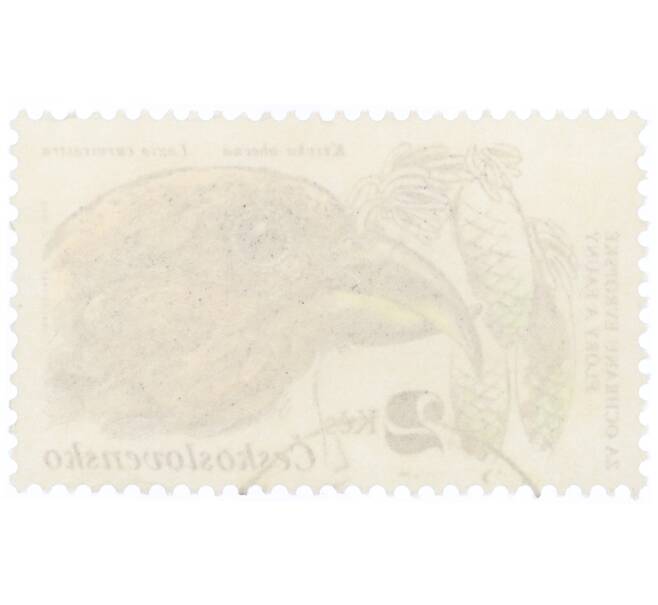 Почтовая марка 2 кроны 1983 года Чехословакия «Красная клестница (Loxia curvirostra) и еловая ветка» (Артикул: K12-70540) — Фото №2