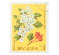 Почтовая марка 3 стотинки 1981 года Болгария «Боярышник (Crataegus oxyacantha)» (Артикул: K12-70584) — Фото №1