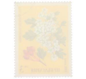 Почтовая марка 3 стотинки 1981 года Болгария «Боярышник (Crataegus oxyacantha)» — Фото №2