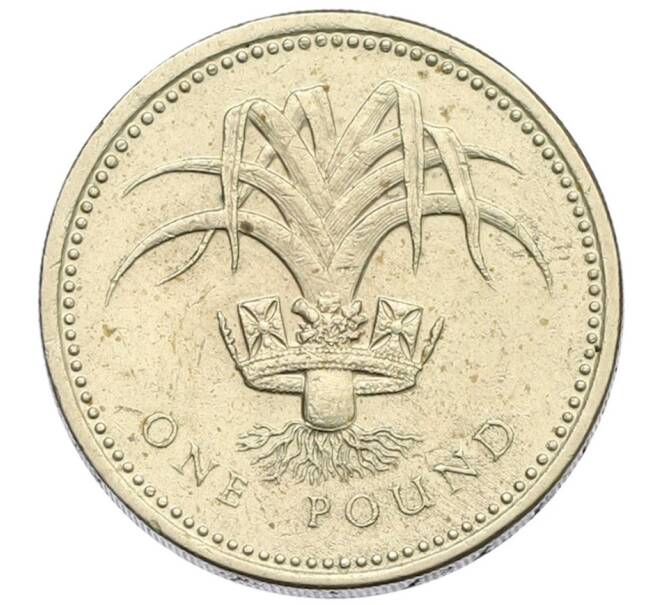 Монета 1 фунт 1985 года Великобритания (Артикул: K12-70601) — Фото №1