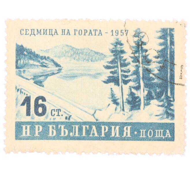 Почтовая марка 16 стотинок 1957 года Болгария «Неделя леса — Ели и озеро» (Артикул: P2-0302) — Фото №1