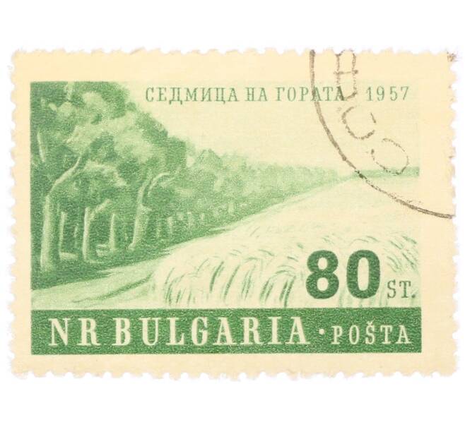 Почтовая марка 80 стотинок 1957 года Болгария «Неделя леса — Поле» (Артикул: P2-0306) — Фото №1
