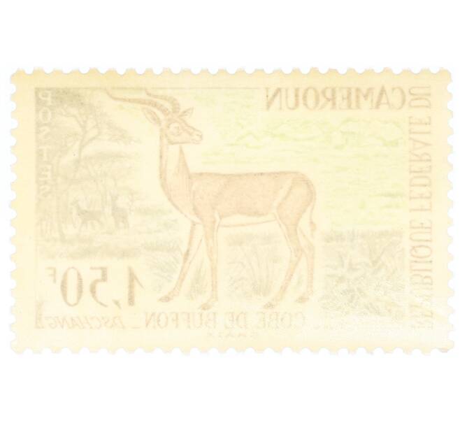 Почтовая марка 1.5 франка 1962 года Камерун «Угандийский Коб (Kobus kob)» (Артикул: P2-0381) — Фото №2