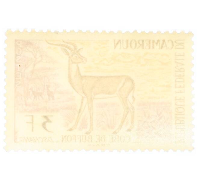Почтовая марка 3 франка 1962 года Камерун «Угандийский Коб (Kobus kob)» (Артикул: P2-0382) — Фото №2