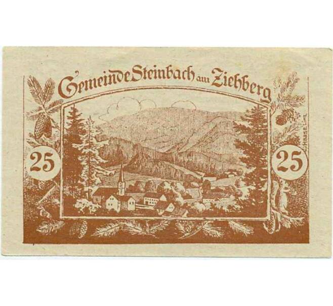 Банкнота 25 геллеров 1920 года Австрия — Коммуна Штайнбах-ам-Циберг (Нотгельд) (Артикул: B2-13951) — Фото №1