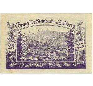 25 геллеров 1920 года Австрия — Коммуна Штайнбах-ам-Циберг (Нотгельд) — Фото №1