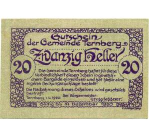 20 геллеров 1920 года Австрия — Коммуна Тернберг (Нотгельд) — Фото №1