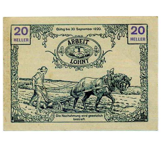 Банкнота 20 геллеров 1920 года Австрия — Таусендблум (Нотгельд) (Артикул: B2-14129) — Фото №2