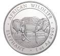 100 шиллингов 2020 года Сомали «Фауна Африки — Африканский слон» (Артикул M2-32587)
