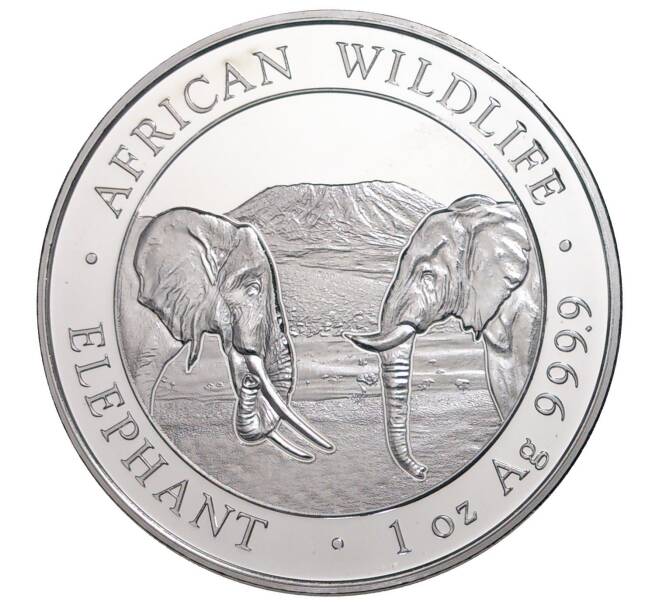 Монета 100 шиллингов 2020 года Сомали «Фауна Африки — Африканский слон» (Артикул M2-32587)