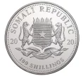 Монета 100 шиллингов 2020 года Сомали «Фауна Африки — Африканский слон» (Артикул M2-32587)