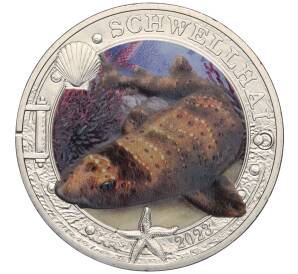 3 евро 2023 года Австрия «Светящаяся морская жизнь — Калифорнийская раздувающаяся акула» — Фото №1