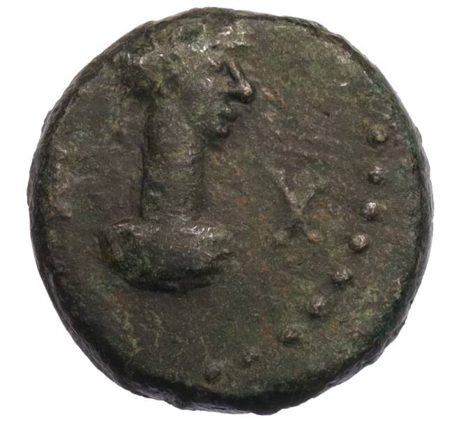 Монета Статер Царство Боспор (Рискупорид V) (Артикул: K1-6780) — Фото №1