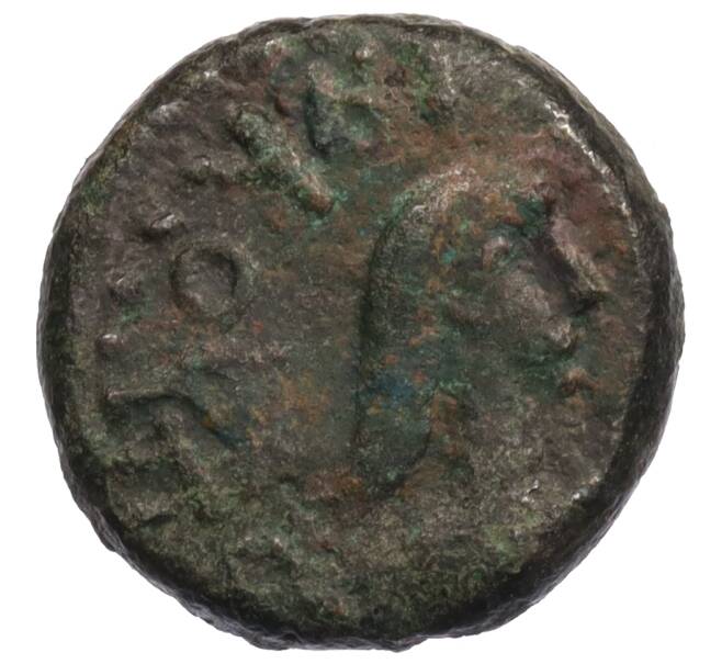 Монета Статер Царство Боспор (Рискупорид V) (Артикул: K1-6780) — Фото №2