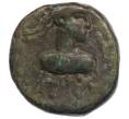 Монета Статер Царство Боспор (Рискупорид V) (Артикул: K1-6781) — Фото №1