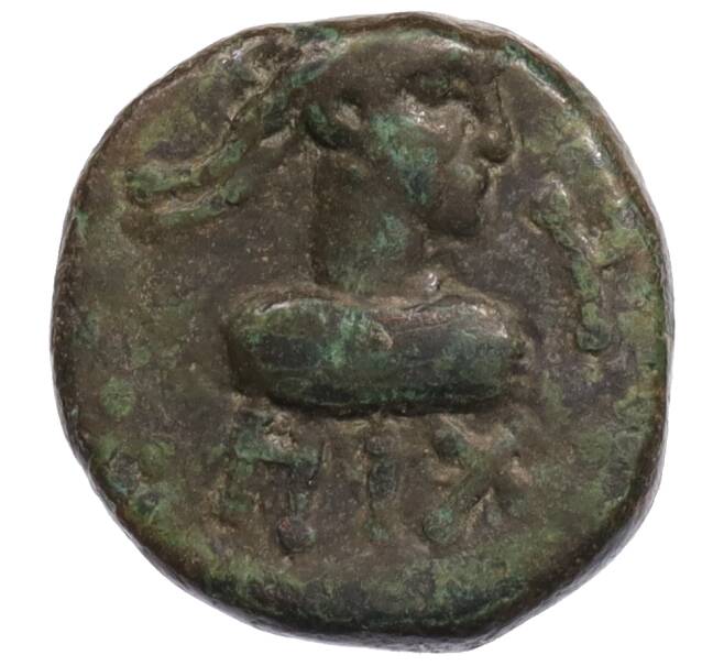 Монета Статер Царство Боспор (Рискупорид V) (Артикул: K1-6781) — Фото №1