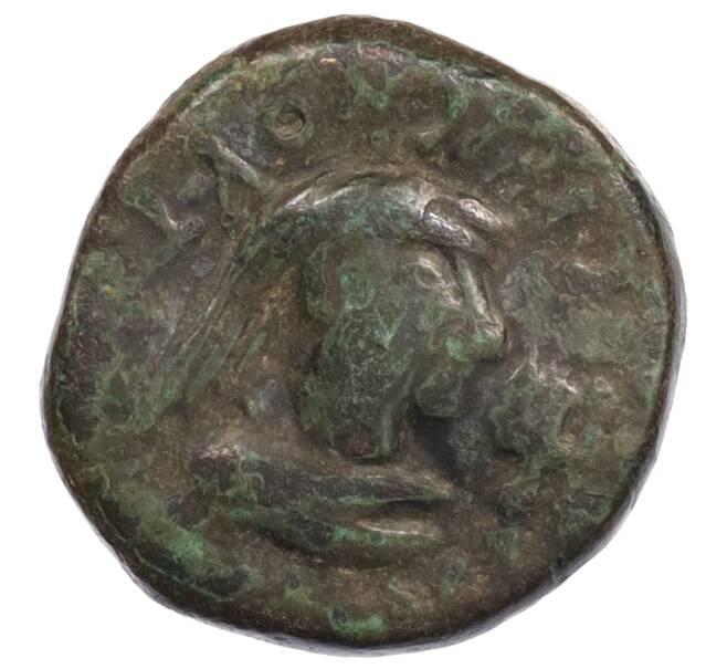 Монета Статер Царство Боспор (Рискупорид V) (Артикул: K1-6781) — Фото №2