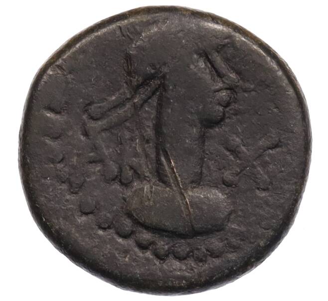 Монета Статер Царство Боспор (Рискупорид V) (Артикул: K1-6782) — Фото №1