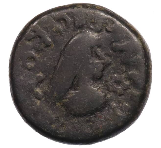 Монета Статер Царство Боспор (Рискупорид V) (Артикул: K1-6782) — Фото №2