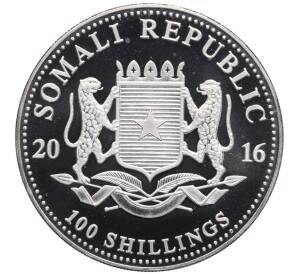 100 шиллингов 2016 года Сомали «Дикая природа Африки — Слон» — Фото №2