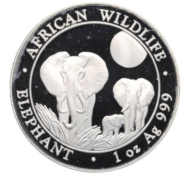 Монета 100 шиллингов 2014 года Сомали «Дикая природа Африки — Слон» (Артикул: K10-2921) — Фото №1