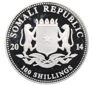 100 шиллингов 2014 года Сомали «Дикая природа Африки — Слон» — Фото №2