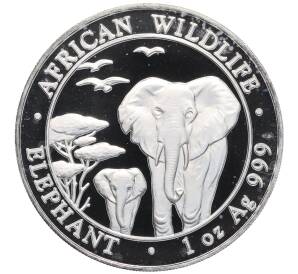 100 шиллингов 2015 года Сомали «Дикая природа Африки — Слон» — Фото №1