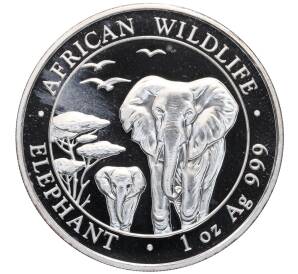 100 шиллингов 2015 года Сомали «Дикая природа Африки — Слон» — Фото №1