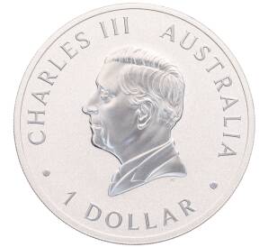 1 доллар 2025 года Австралия «Коала» — Фото №2