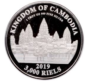 3000 риэлей 2019 года Камбоджа «Китайский гороскоп — Год свиньи» — Фото №2