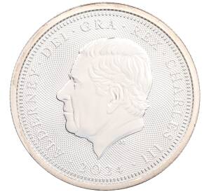 1 унция 2024 года Олдерни «80-летие высадки в Нормандии (День D)» — Фото №2