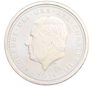 1 унция 2024 года Олдерни «80-летие высадки в Нормандии (День D)» — Фото №2