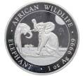 Монета 100 шиллингов 2024 года Сомали «Дикая природа Африки — Слон» (Артикул: K10-4153) — Фото №1