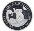 Монета 100 шиллингов 2024 года Сомали «Дикая природа Африки — Слон» (Артикул: K10-4154) — Фото №1