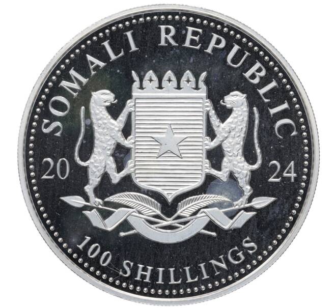 Монета 100 шиллингов 2024 года Сомали «Дикая природа Африки — Слон» (Артикул: K10-4154) — Фото №2