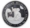 Монета 100 шиллингов 2024 года Сомали «Дикая природа Африки — Слон» (Артикул: K10-4156) — Фото №1