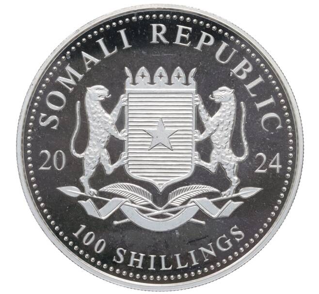 Монета 100 шиллингов 2024 года Сомали «Дикая природа Африки — Слон» (Артикул: K10-4156) — Фото №2