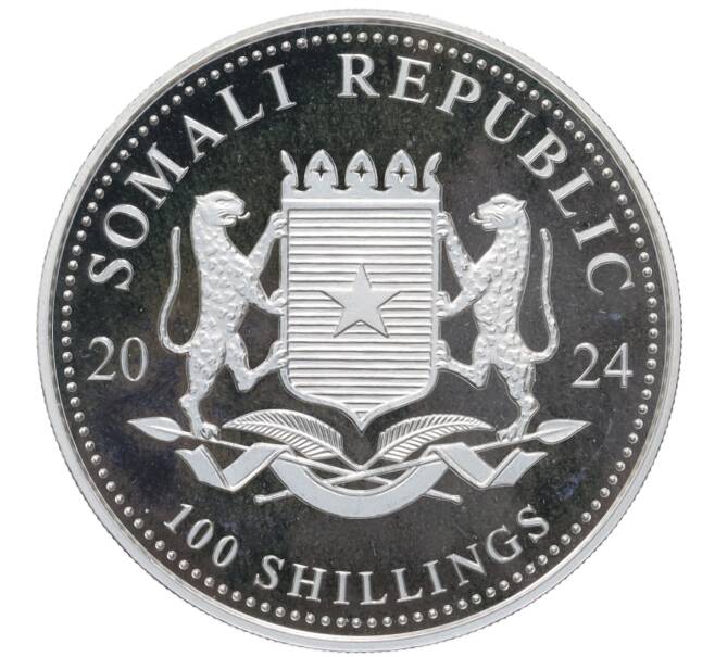 Монета 100 шиллингов 2024 года Сомали «Дикая природа Африки — Слон» (Артикул: K10-4157) — Фото №2